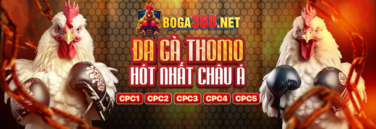 Hình ảnh minh họa giao dịch tài chính an toàn và các phương thức thanh toán đa dạng tại trực tiếp đá gà cựa sắt