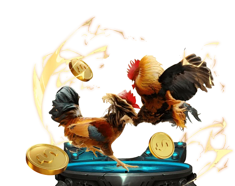 Lợi ích khi theo dõi lịch thi đấu đá gà cựa sắt